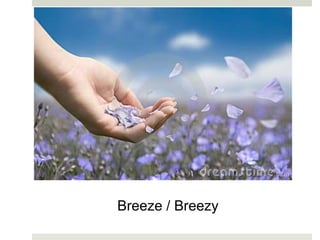 Breeze / Breezy
 