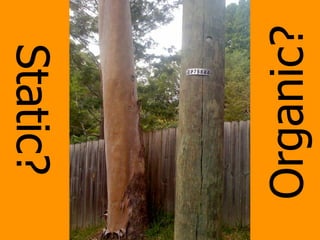 Static?




Organic?
 