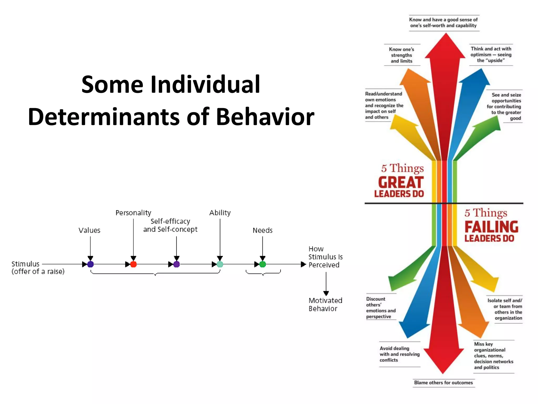 Some Individual
Determinants of Behavior
FIGURE 11–1
G.Dessler, 2003
 