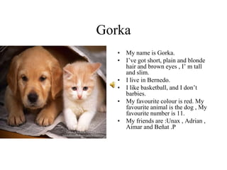 Gorka
• My name is Gorka.
• I’ve got short, plain and blonde
hair and brown eyes , I’ m tall
and slim.
• I live in Bernedo.
• I like basketball, and I don’t
barbies.
• My favourite colour is red. My
favourite animal is the dog , My
favourite number is 11.
• My friends are :Unax , Adrian ,
Aimar and Beñat .P
 