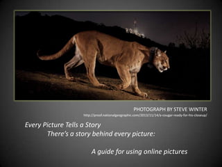 PHOTOGRAPH BY STEVE WINTER
http://proof.nationalgeographic.com/2013/11/14/a-cougar-ready-for-his-closeup/

Every Picture Tells a Story
There’s a story behind every picture:
A guide for using online pictures

 