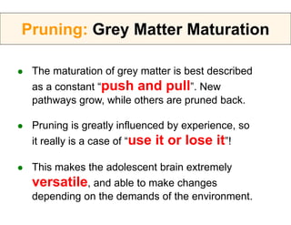 Pruning: Grey Matter Maturation

   The maturation of grey matter is best described
    as a constant “push and pull”. Ne...