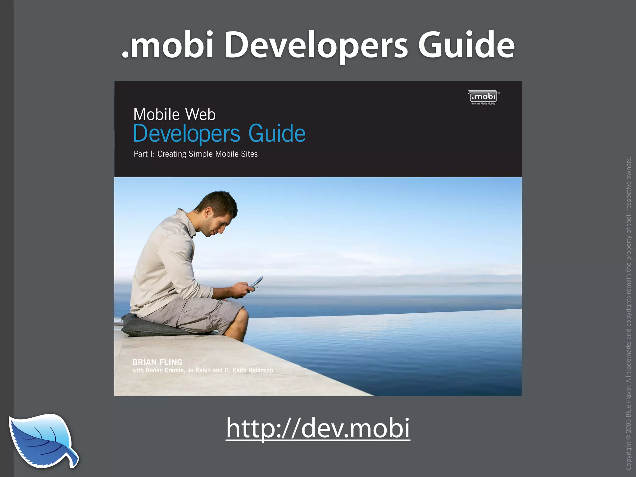 Everything you wanted to know about the mobile web but were afraid to ask...blueflavor.com