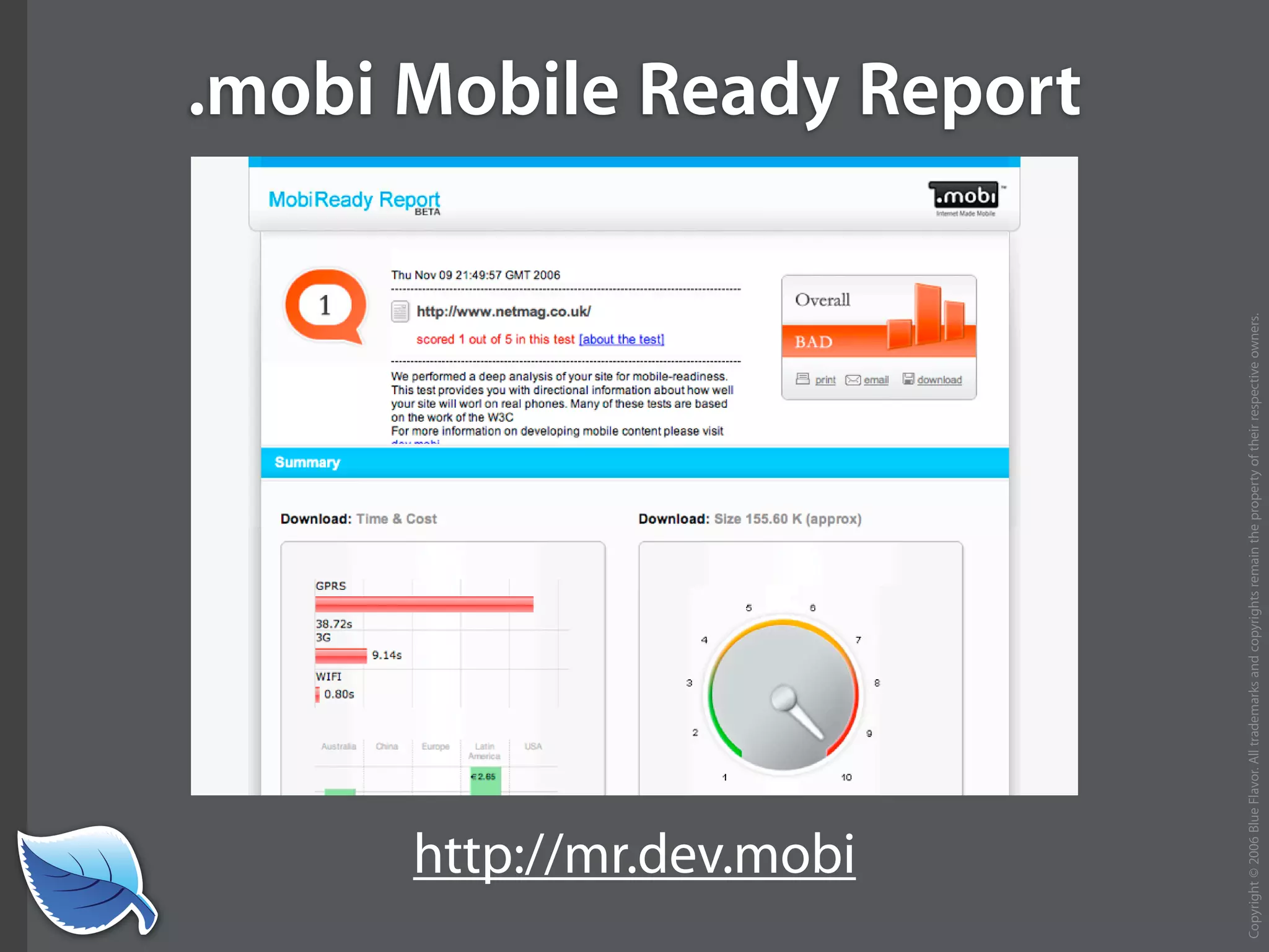 Everything you wanted to know about the mobile web but were afraid to ask...blueflavor.com