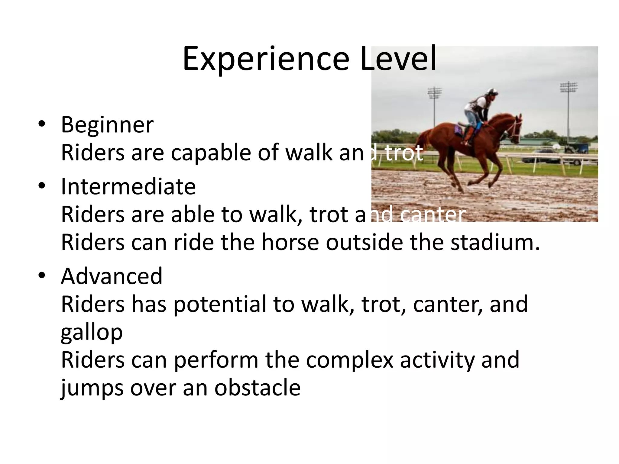 Everything about horse riding | PPSX