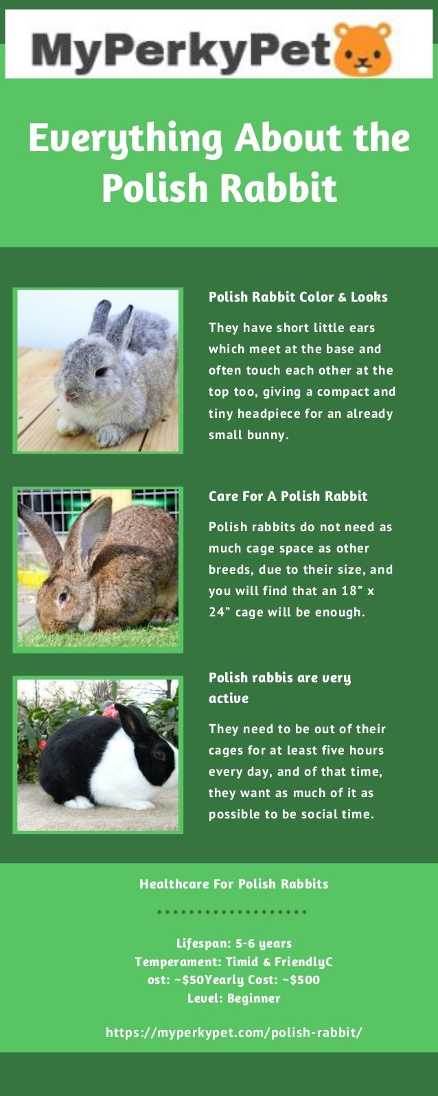polish for rabbit