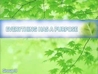 Everything has a purpose