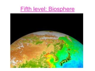 Fifth level: Biosphere
 