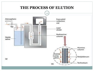 THE PROCESS OF ELUTION
44
 