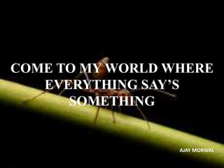 COME TO MY WORLD WHERE
EVERYTHING SAY’S
SOMETHING
AJAY MORWAL
 