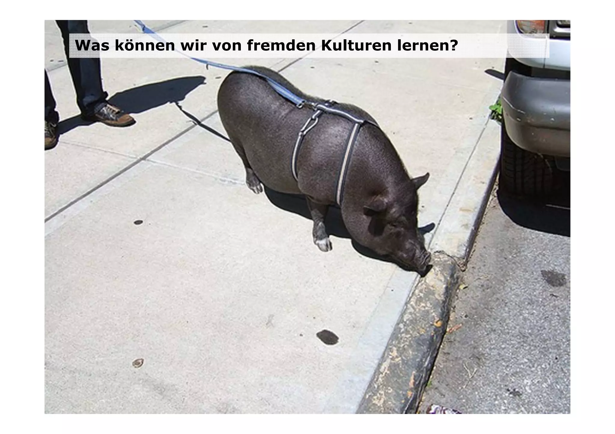 Was können wir von fremden Kulturen lernen?
 