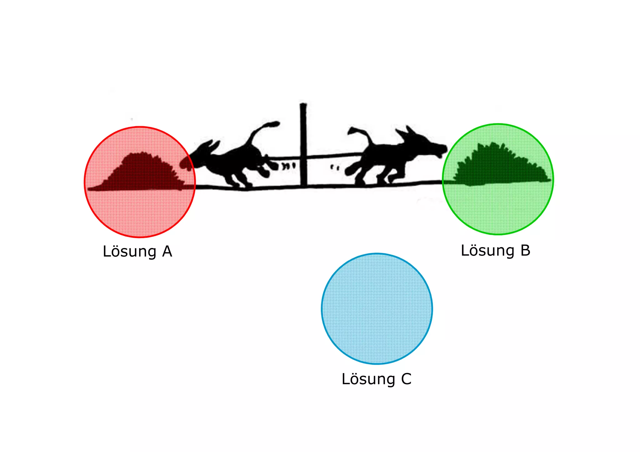 Lösung A              Lösung B




           Lösung C
 