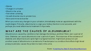 Everything You Need To Know About Albuminuria