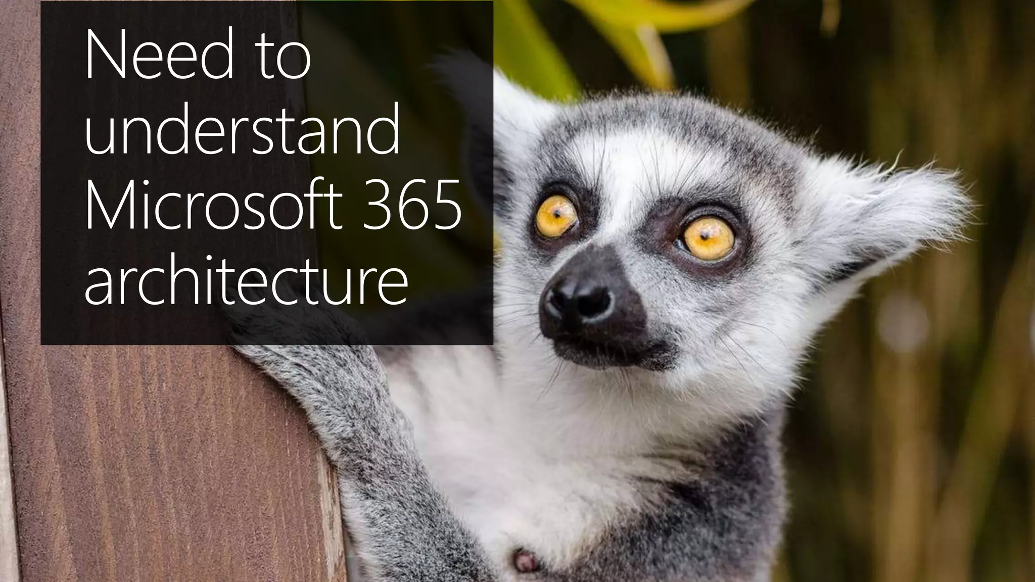 Need to
understand
Microsoft 365
architecture
 