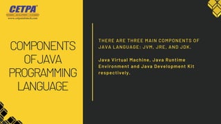 Everything You Need To Know About Java | PPT