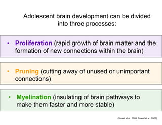 Teenage brain development