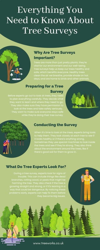 Everything You
Need to Know About
Tree Surveys
Trees are more than just pretty plants; they're
vital for our environment and our well-being.
Tree surveys help us keep our trees healthy and
safe, which benefits everyone. Healthy trees
clean the air we breathe, provide shade on hot
days, and are home to birds and other animals.
Why Are Tree Surveys
Important?
Preparing for a Tree
Survey
Conducting the Survey
What Do Tree Experts Look For?
Before experts go out to look at trees, they need
to plan everything carefully. They decide what
they want to learn and where they need to go.
They also make sure they have permission to
look at the trees and take safety seriously.
They want to make sure everyone stays safe
while they're doing their tree survey.
When it's time to look at the trees, experts bring tools
to help them. They look closely at each tree to see if
it looks healthy or if there's anything wrong.
Sometimes they use special machines to look inside
the trees and see if they're strong. They also think
about the environment around the trees, like if
there's good soil for them to grow in.
During a tree survey, experts look for signs of
trouble. This can include things like dead
branches, rotting wood, or pests that might be
harming the tree. They also check if the tree is
growing straight and strong, or if it's leaning in a
way that could be dangerous. By noticing these
problems early, experts can help fix them before
they become big issues.
www.treeworks.co.uk
 