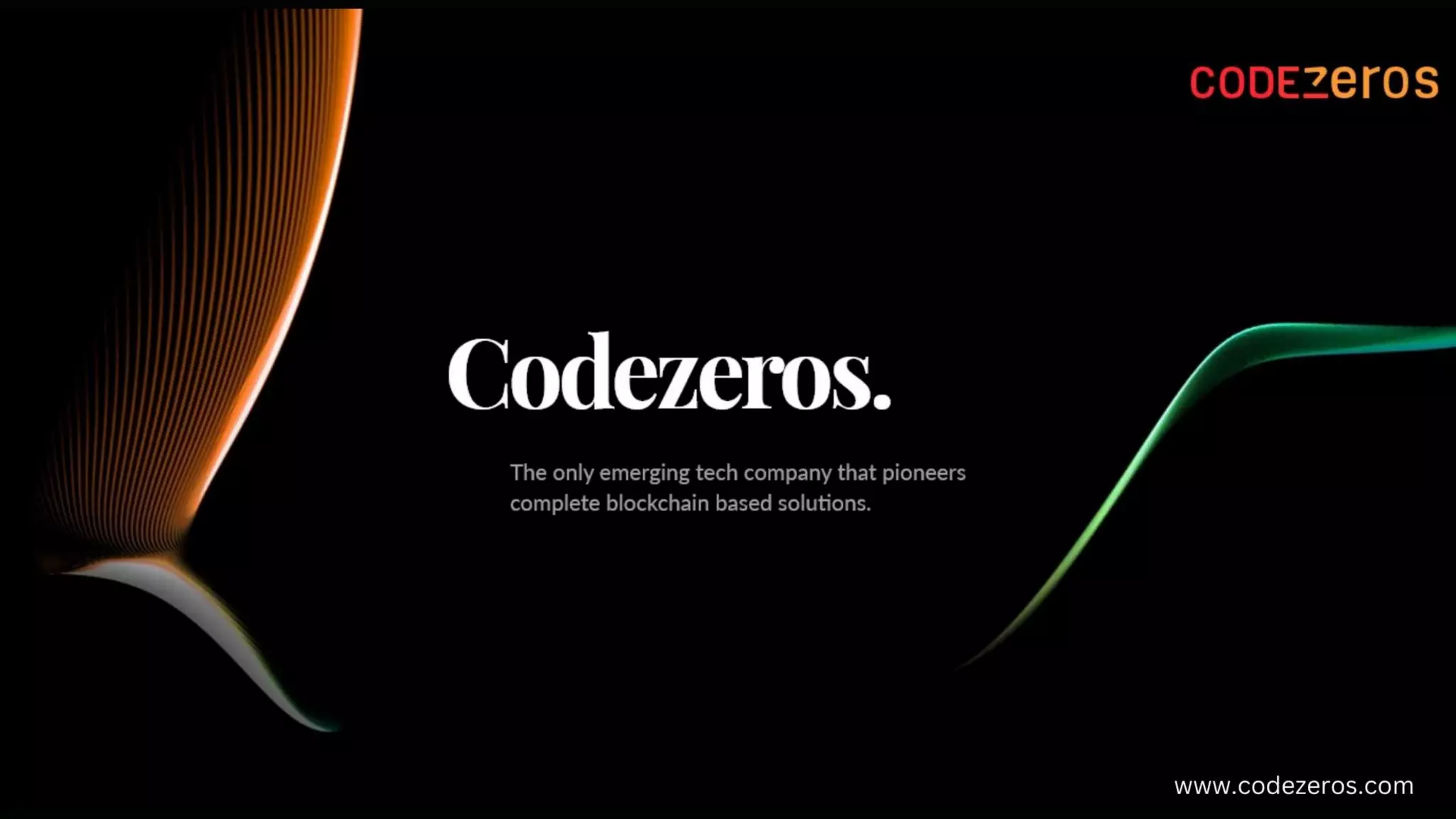 Everything You Need to Know about zkEVM.pptx