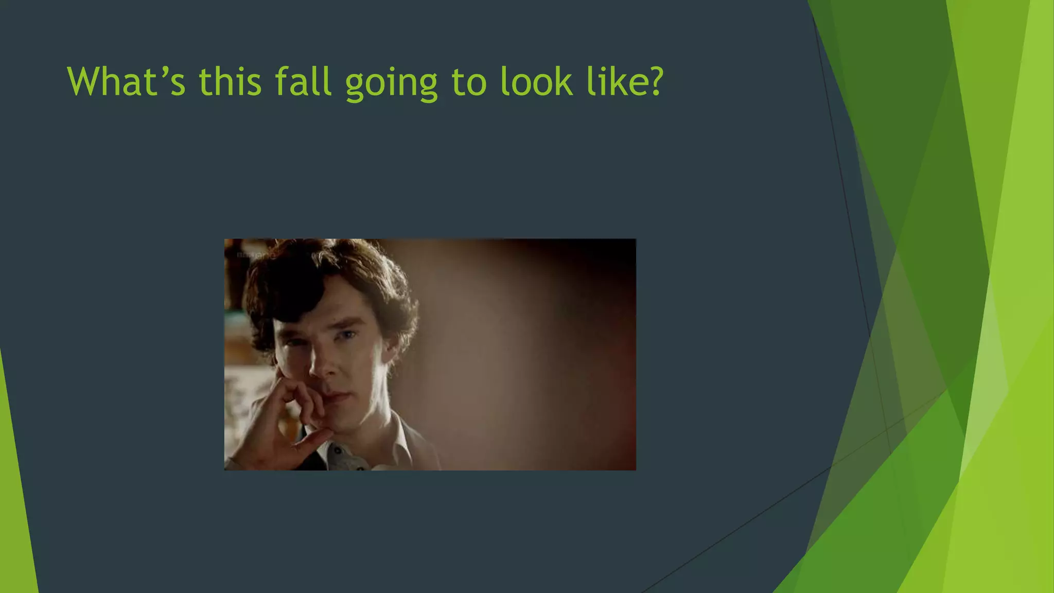 What’s this fall going to look like?

 