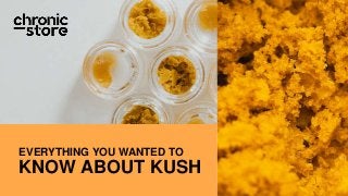 EVERYTHING YOU WANTED TO
KNOW ABOUT KUSH