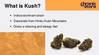 What is Kush?
Indica-dominant strain
Descends from Hindu Kush Mountains
Gives a relaxing and sleepy feel