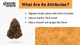 What Are Its Attributes?
Appears bright green with hints of purple
Has an earthy, floral smell
Has a smooth and grape-like flavor