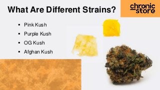  Pink Kush
Purple Kush
OG Kush
Afghan Kush
What Are Different Strains?