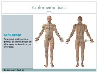 Dolor AgudoAbordaje del dolor en UrgenciasEVES- 201150
