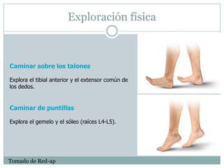 Escala Analgésica de la OMS61Tercer escalónOpioides potentesMorfina