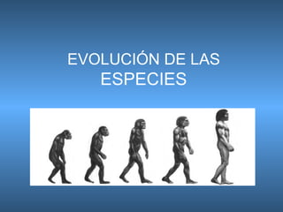 EVOLUCIÓN DE LAS  ESPECIES 