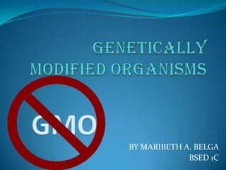 GENETICALLY MODIFIED ORGANISMS GMO BY MARIBETH A. BELGA  BSED 1C 