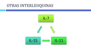 OTRAS INTERLEUQUINAS
IL-7
ESTIMULA
LINFOCITOS
T Y
LINFOCITOS
B
 