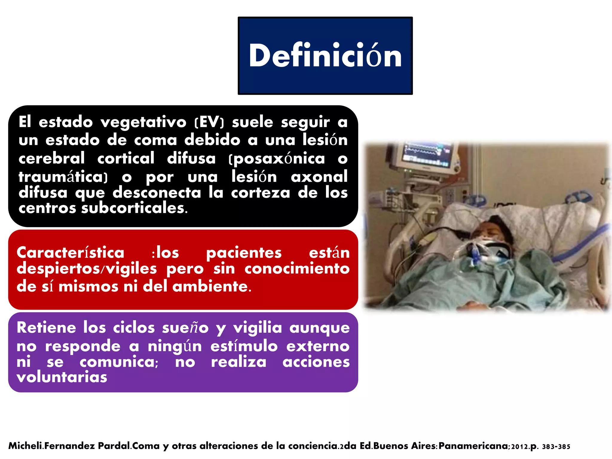 Estado Vegetativo y Muerte cerebral en el Perú | PPTX