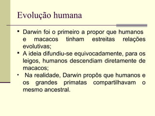 Evolução humana 
 Darwin foi o primeiro a propor que humanos 
e macacos tinham estreitas relações 
evolutivas; 
 A ideia difundiu-se equivocadamente, para os 
leigos, humanos descendiam diretamente de 
macacos; 
• Na realidade, Darwin propôs que humanos e 
os grandes primatas compartilhavam o 
mesmo ancestral. 
 