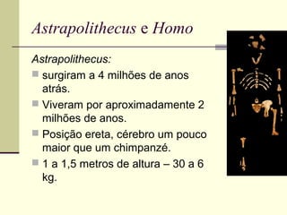 Astrapolithecus e Homo 
Astrapolithecus: 
 surgiram a 4 milhões de anos 
atrás. 
 Viveram por aproximadamente 2 
milhões de anos. 
 Posição ereta, cérebro um pouco 
maior que um chimpanzé. 
 1 a 1,5 metros de altura – 30 a 6 
kg. 
 