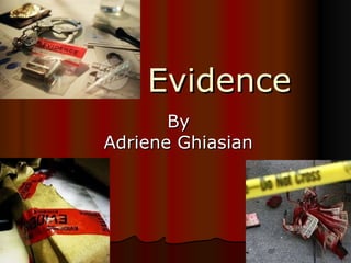 Evidence By Adriene Ghiasian 