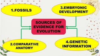 Evidences of Evolution- Science 10 Power | PPTX
