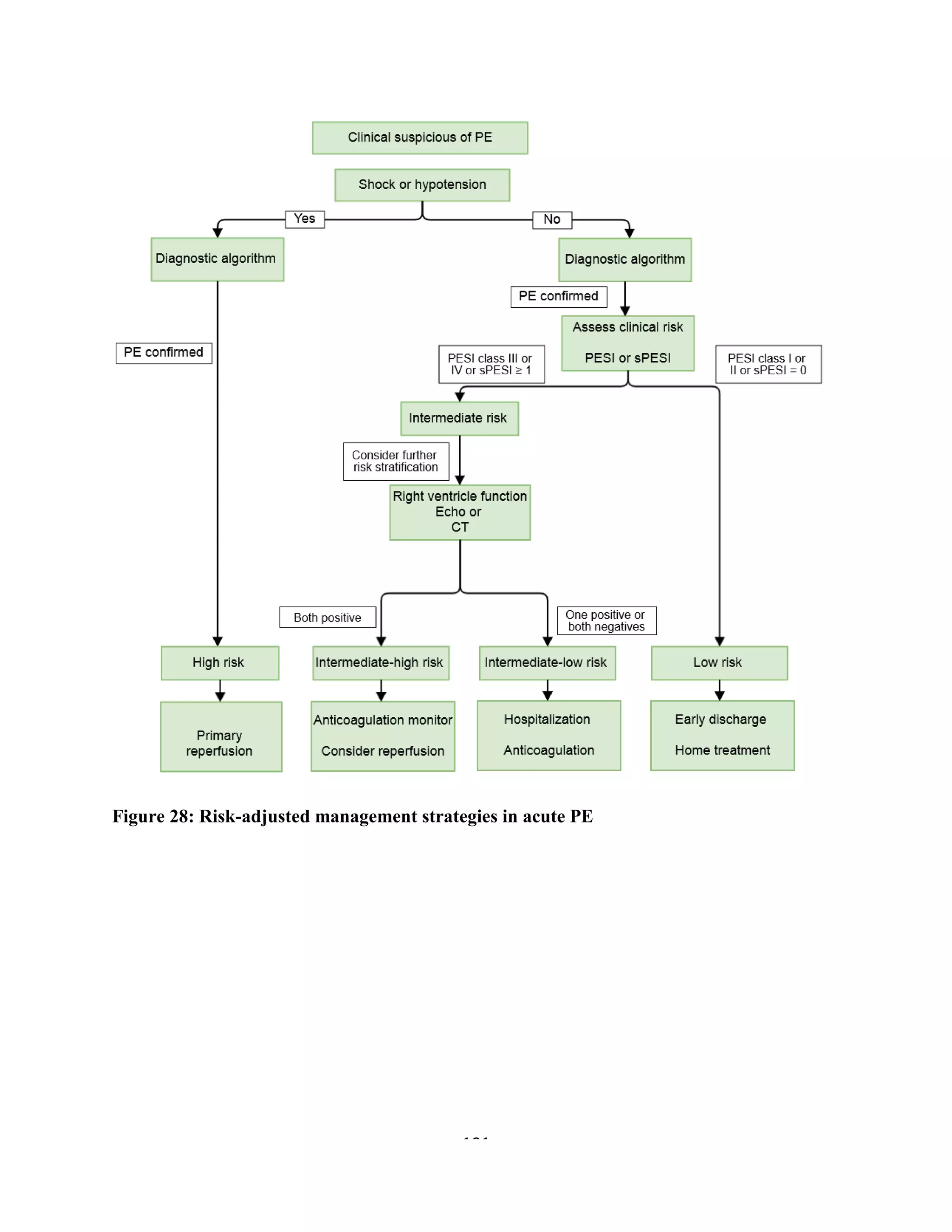 101
Figure 28: Risk-adjusted management strategies in acute PE
 