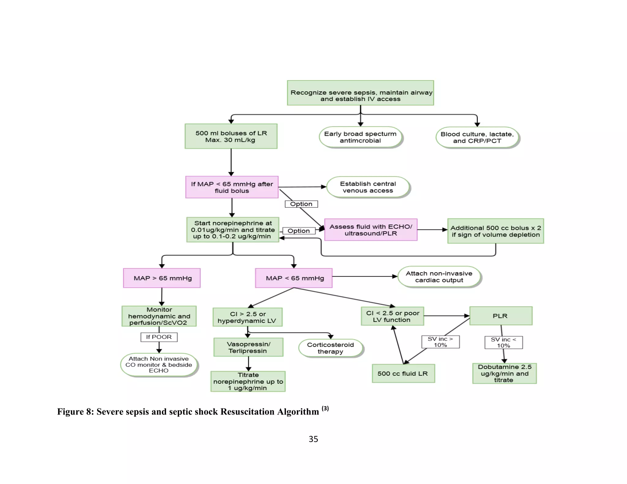 35
Figure 8: Severe sepsis and septic shock Resuscitation Algorithm (3)
 