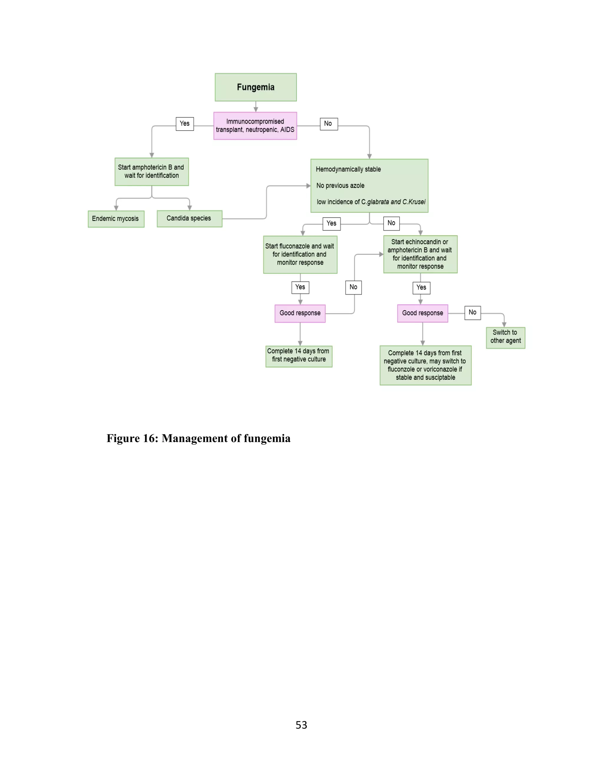 53
Figure 16: Management of fungemia
 