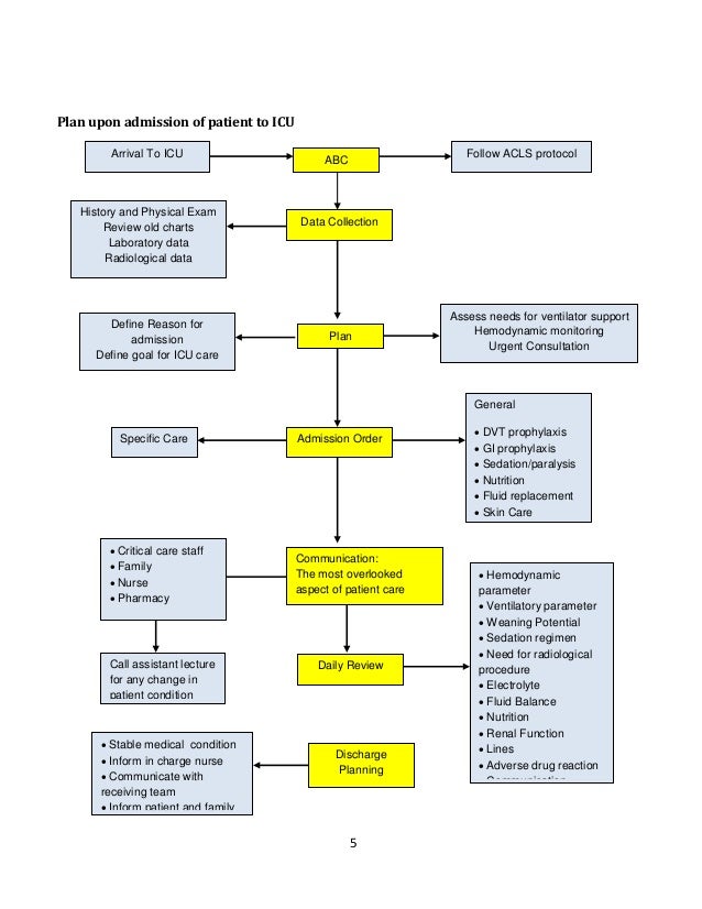 Critical Care Guidelines 2025 Otha Tressa