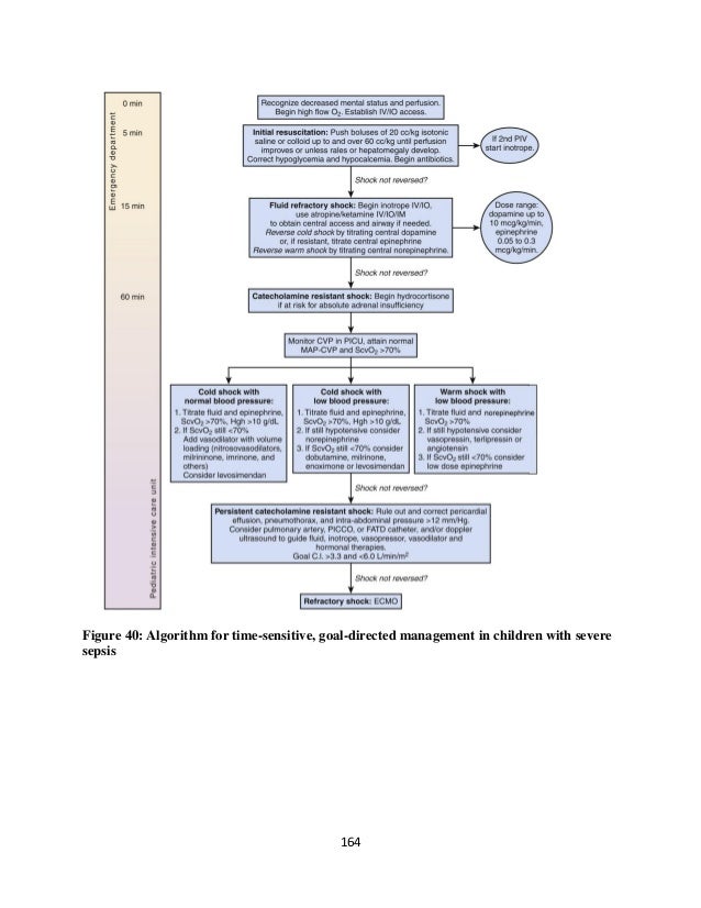 Evidence based critical care guidelines