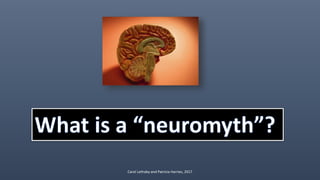 Carol Lethaby and Patricia Harries, 2017
 