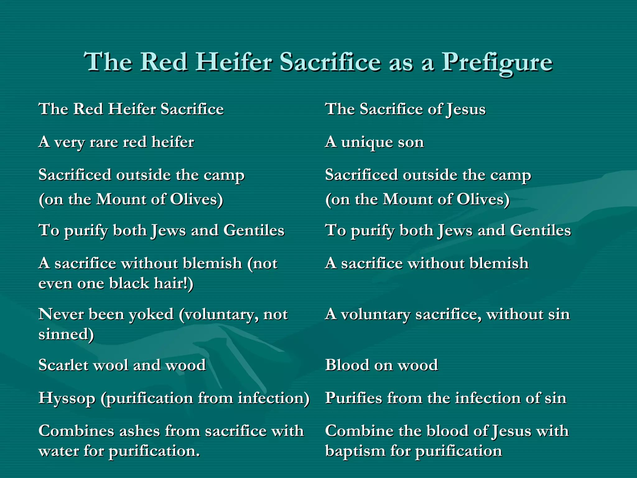 The Red Heifer Sacrifice as a PrefigureThe Red Heifer Sacrifice as a Prefigure
The Red Heifer SacrificeThe Red Heifer Sacrifice The Sacrifice of JesusThe Sacrifice of Jesus
A very rare red heiferA very rare red heifer A unique sonA unique son
Sacrificed outside the campSacrificed outside the camp
(on the Mount of Olives)(on the Mount of Olives)
Sacrificed outside the campSacrificed outside the camp
(on the Mount of Olives)(on the Mount of Olives)
To purify both Jews and GentilesTo purify both Jews and Gentiles To purify both Jews and GentilesTo purify both Jews and Gentiles
A sacrifice without blemish (notA sacrifice without blemish (not
even one black hair!)even one black hair!)
A sacrifice without blemishA sacrifice without blemish
Never been yoked (voluntary, notNever been yoked (voluntary, not
sinned)sinned)
A voluntary sacrifice, without sinA voluntary sacrifice, without sin
Scarlet wool and woodScarlet wool and wood Blood on woodBlood on wood
Hyssop (purification from infection)Hyssop (purification from infection) Purifies from the infection of sinPurifies from the infection of sin
Combines ashes from sacrifice withCombines ashes from sacrifice with
water for purification.water for purification.
Combine the blood of Jesus withCombine the blood of Jesus with
baptism for purificationbaptism for purification
 