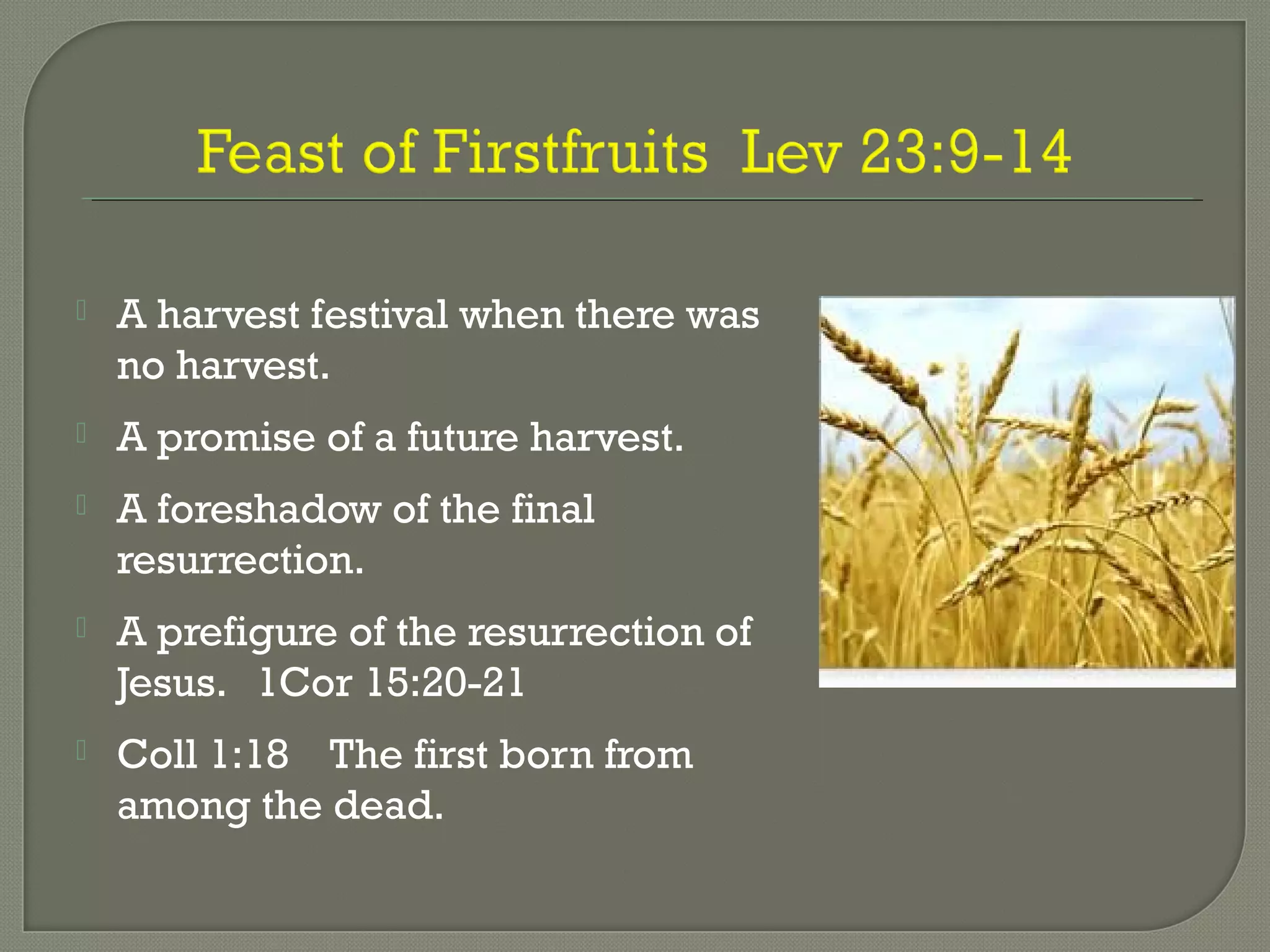  A harvest festival when there was
no harvest.
 A promise of a future harvest.
 A foreshadow of the final
resurrection.
 A prefigure of the resurrection of
Jesus. 1Cor 15:20-21
 Coll 1:18 The first born from
among the dead.
 