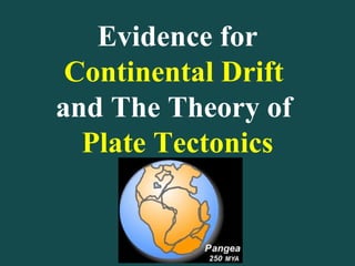 Evidence for  Continental Drift   and The Theory of  Plate Tectonics 