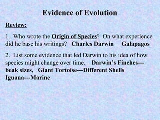 Evidence of Evolution Review: 1.  Who wrote the  Origin of Species ?  On what experience did he base his writings?  Charles Darwin  Galapagos 2.  List some evidence that led Darwin to his idea of how species might change over time.  Darwin’s Finches---beak sizes,  Giant Tortoise---Different Shells  Iguana---Marine 