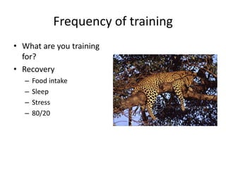 Frequency of training
• What are you training
for?
• Recovery
– Food intake
– Sleep
– Stress
– 80/20
 