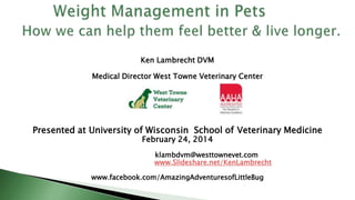 Ken Lambrecht DVM
Medical Director West Towne Veterinary Center
Presented at University of Wisconsin School of Veterinary Medicine
February 24, 2014
klambdvm@westtownevet.com
www.Slideshare.net/KenLambrecht
www.facebook.com/AmazingAdventuresofLittleBug
 