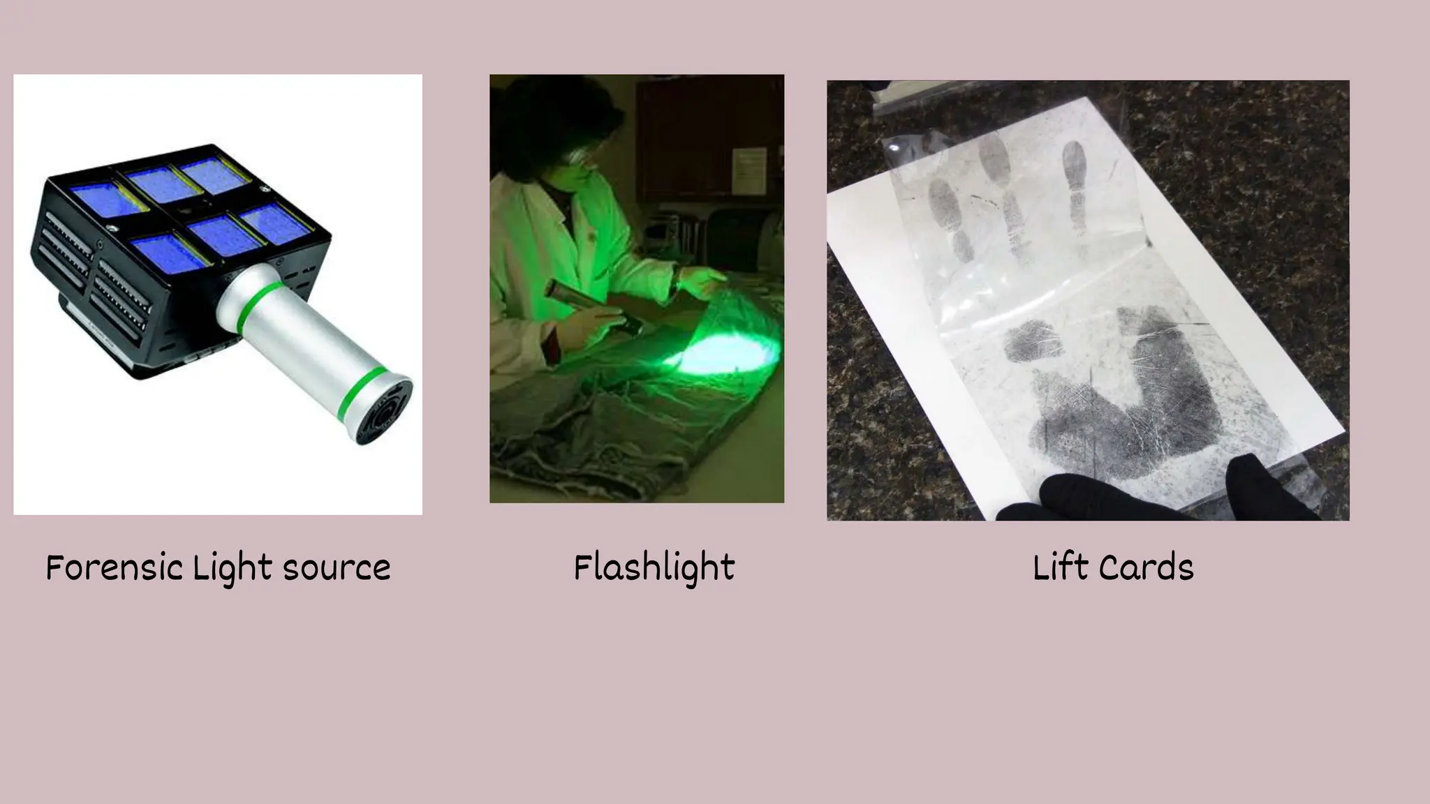Evidence collection & Preservation .pptx
